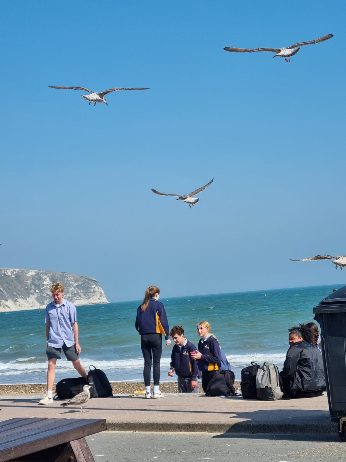 Year 11 geography field trip